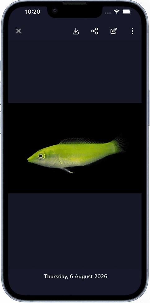 Aquafy photo journal screen