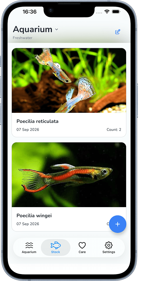 Aquafy aquarium livestock list